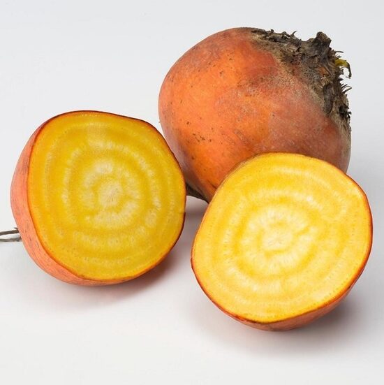 Bietes BOLDOR  apm. 10 000 gab  Bejo Zaden 